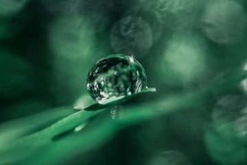 pexels-hashir-k-5003708